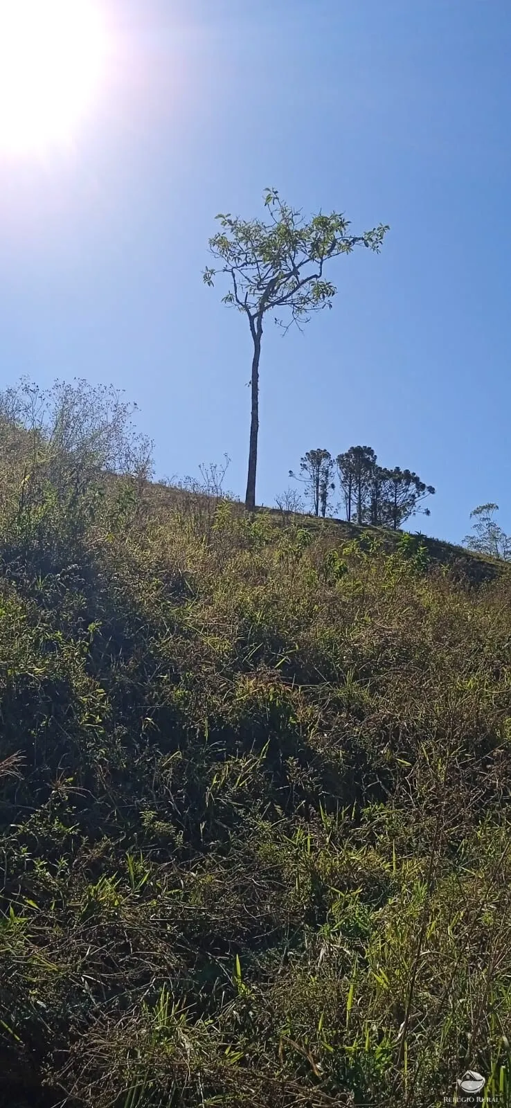 Sítio à venda de 10 ha em São José dos Campos, SP, Brasil