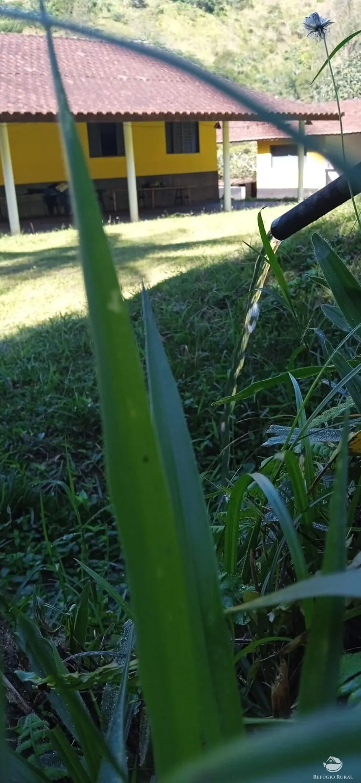 Sítio à venda de 10 ha em São José dos Campos, SP, Brasil