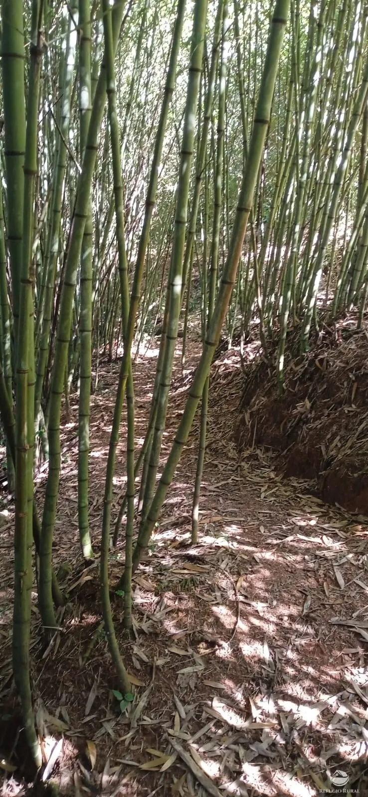 Sítio à venda de 10 ha em São José dos Campos, SP, Brasil
