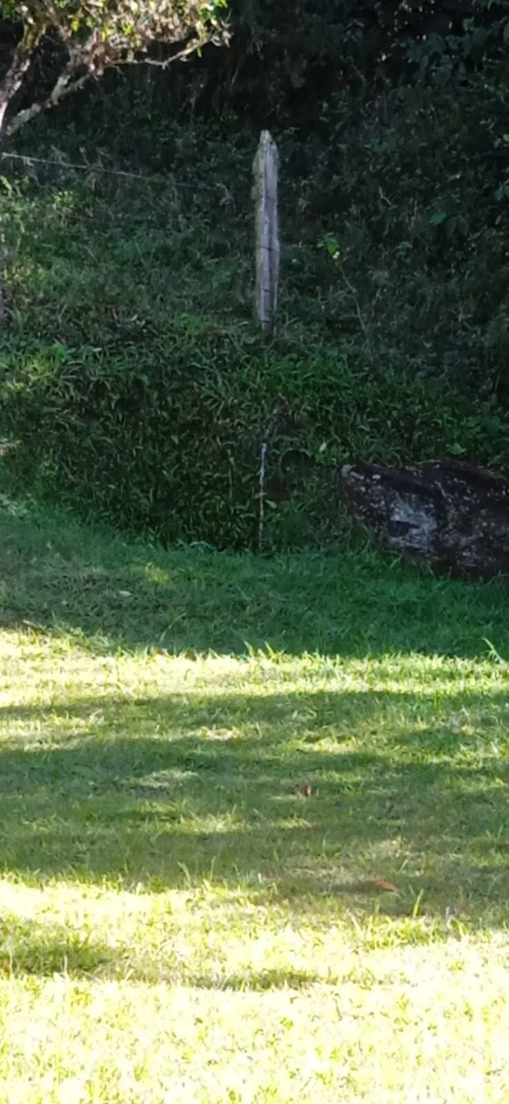 Sítio à venda de 10 ha em São José dos Campos, SP, Brasil