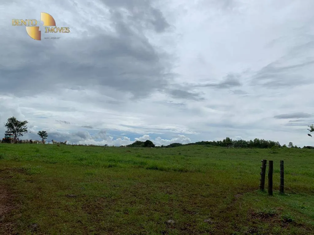Fazenda à venda de 612 ha em Rosário Oeste, MT, Brasil