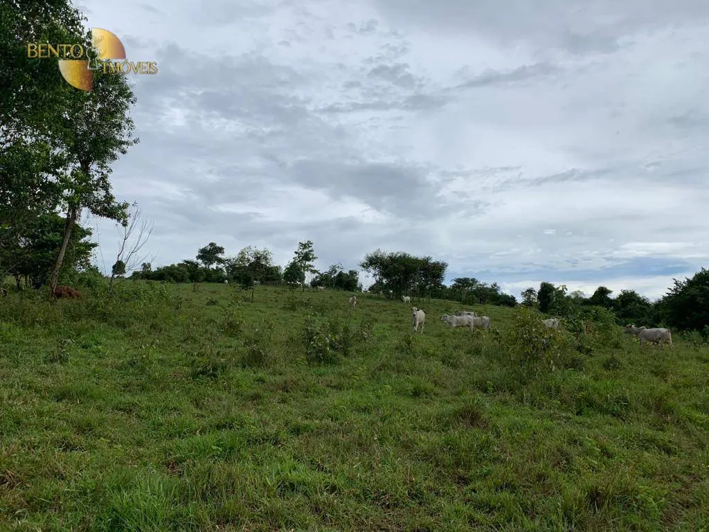 Fazenda à venda de 612 ha em Rosário Oeste, MT, Brasil