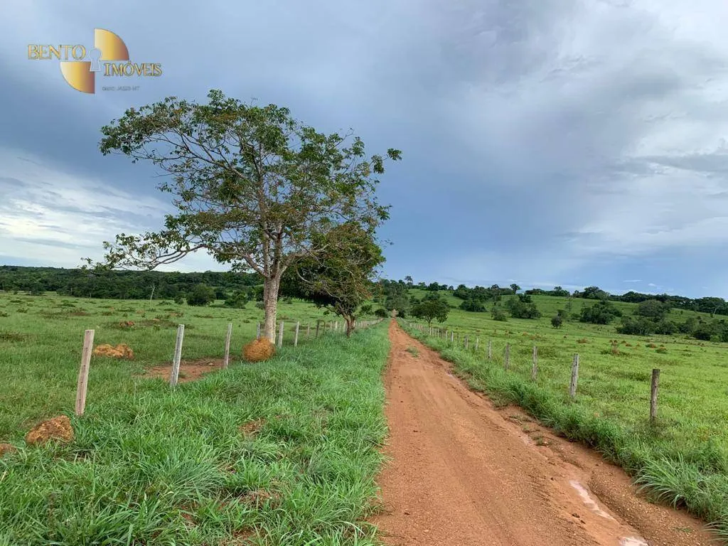 Fazenda à venda de 612 ha em Rosário Oeste, MT, Brasil