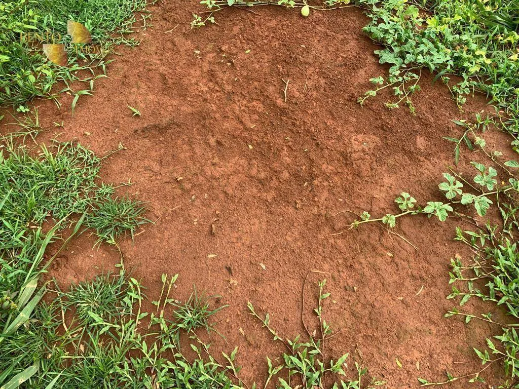 Fazenda à venda de 612 ha em Rosário Oeste, MT, Brasil