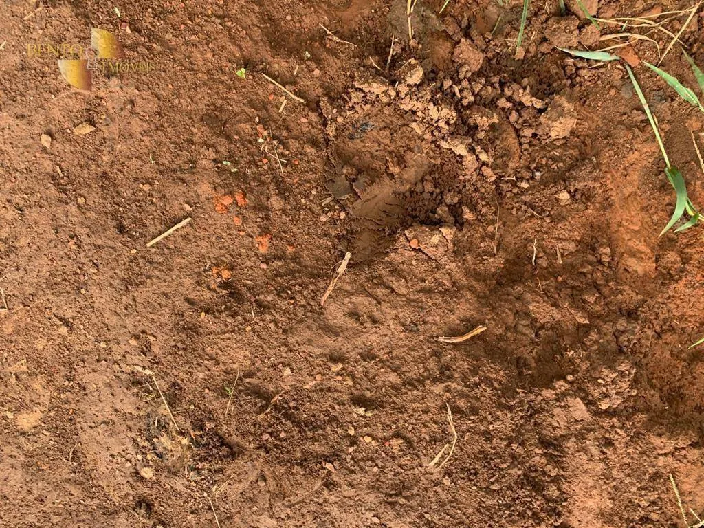 Fazenda à venda de 612 ha em Rosário Oeste, MT, Brasil