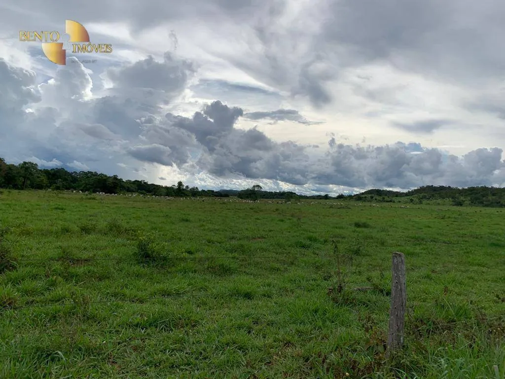 Fazenda à venda de 612 ha em Rosário Oeste, MT, Brasil