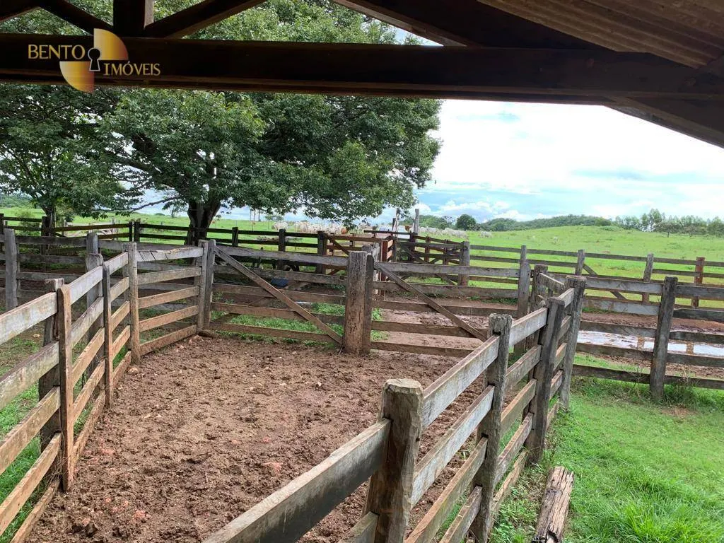 Fazenda à venda de 612 ha em Rosário Oeste, MT, Brasil