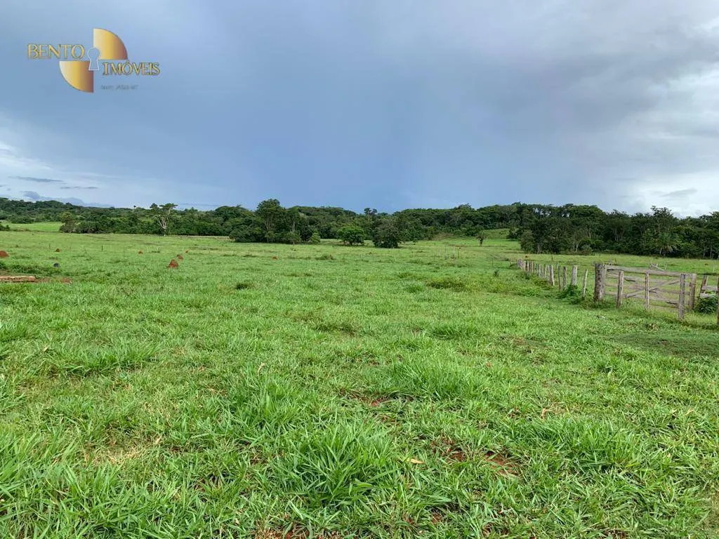 Fazenda à venda de 612 ha em Rosário Oeste, MT, Brasil