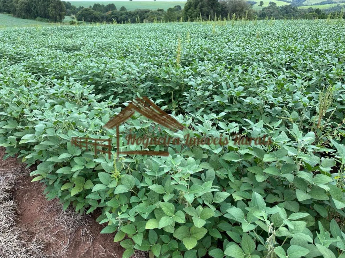 Fazenda à venda de 99 ha em Itapetininga, SP, Brasil
