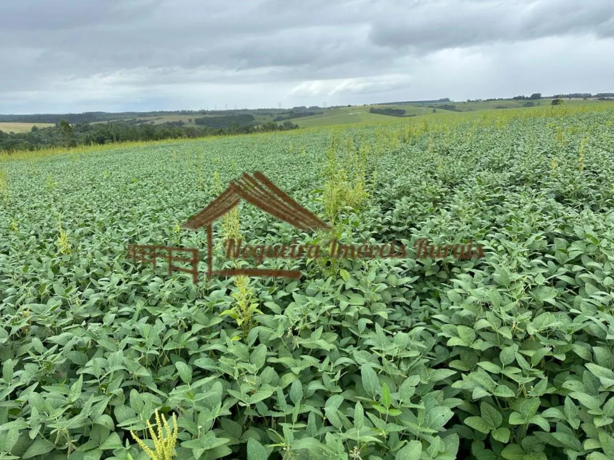 Fazenda à venda de 99 ha em Itapetininga, SP, Brasil