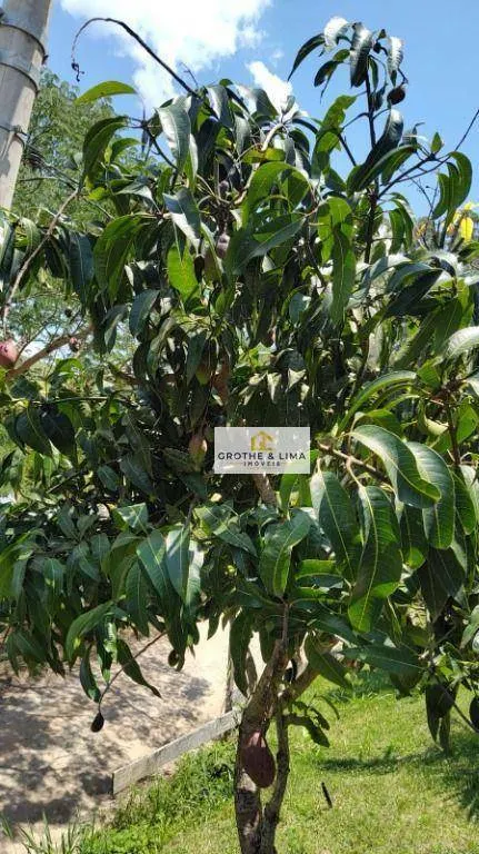 Chácara à venda de 1.600 m² em Natividade da Serra, SP, Brasil