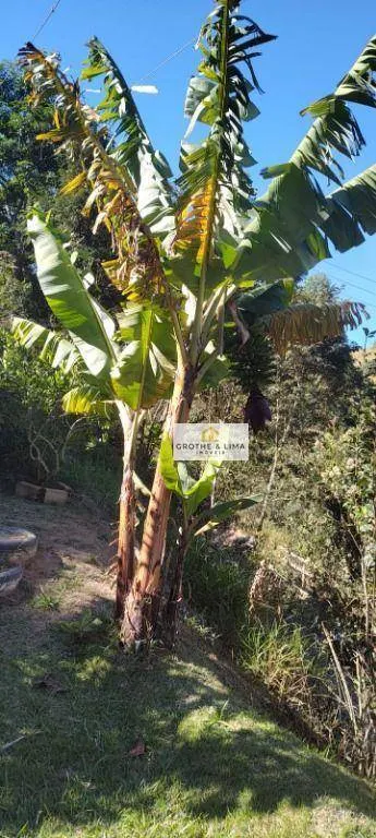 Chácara à venda de 1.600 m² em Natividade da Serra, SP, Brasil