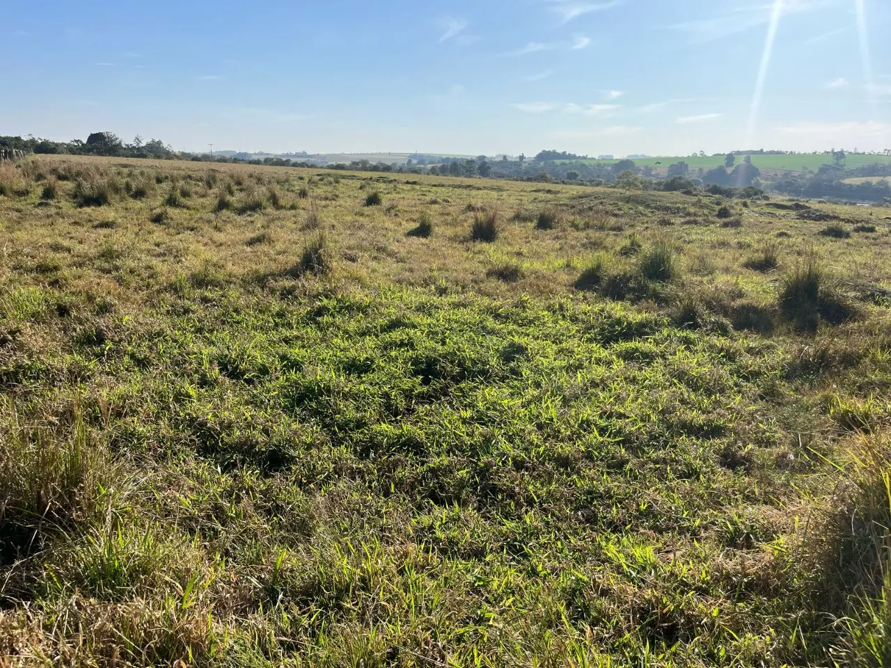 Fazenda à venda de 136 ha em Itapetininga, SP, Brasil
