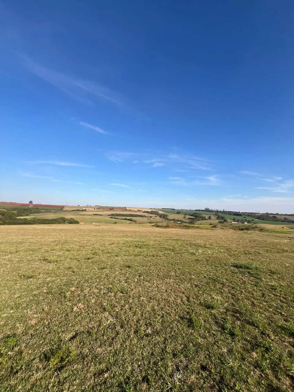 Fazenda à venda de 136 ha em Itapetininga, SP, Brasil