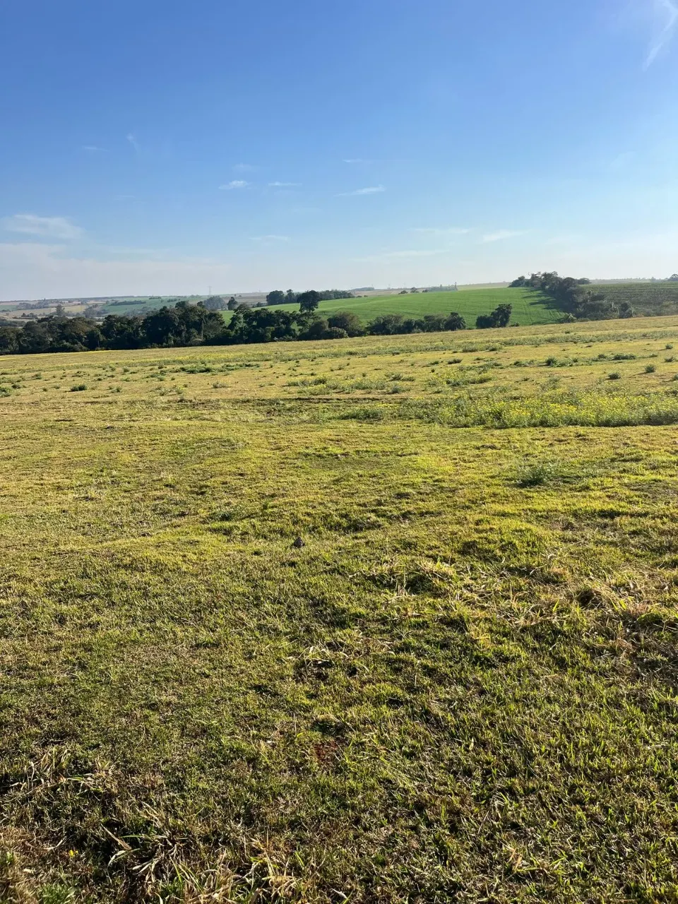 Fazenda à venda de 136 ha em Itapetininga, SP, Brasil