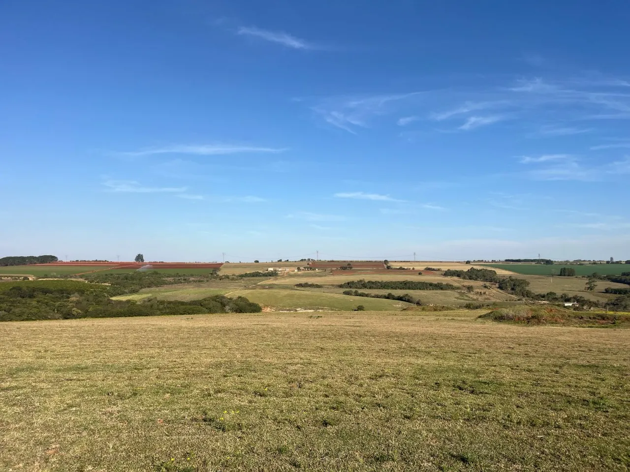 Fazenda à venda de 136 ha em Itapetininga, SP, Brasil