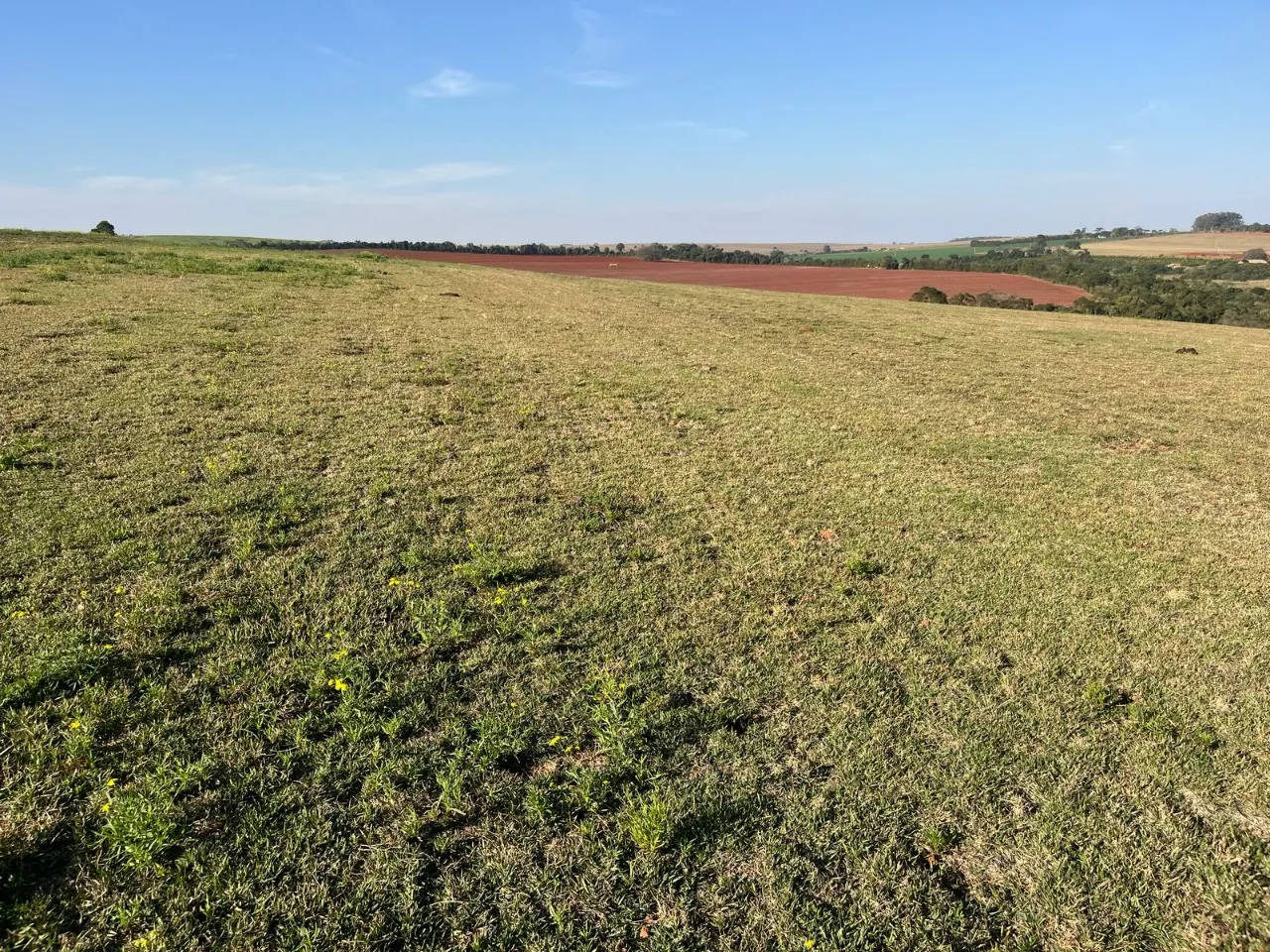 Fazenda à venda de 136 ha em Itapetininga, SP, Brasil