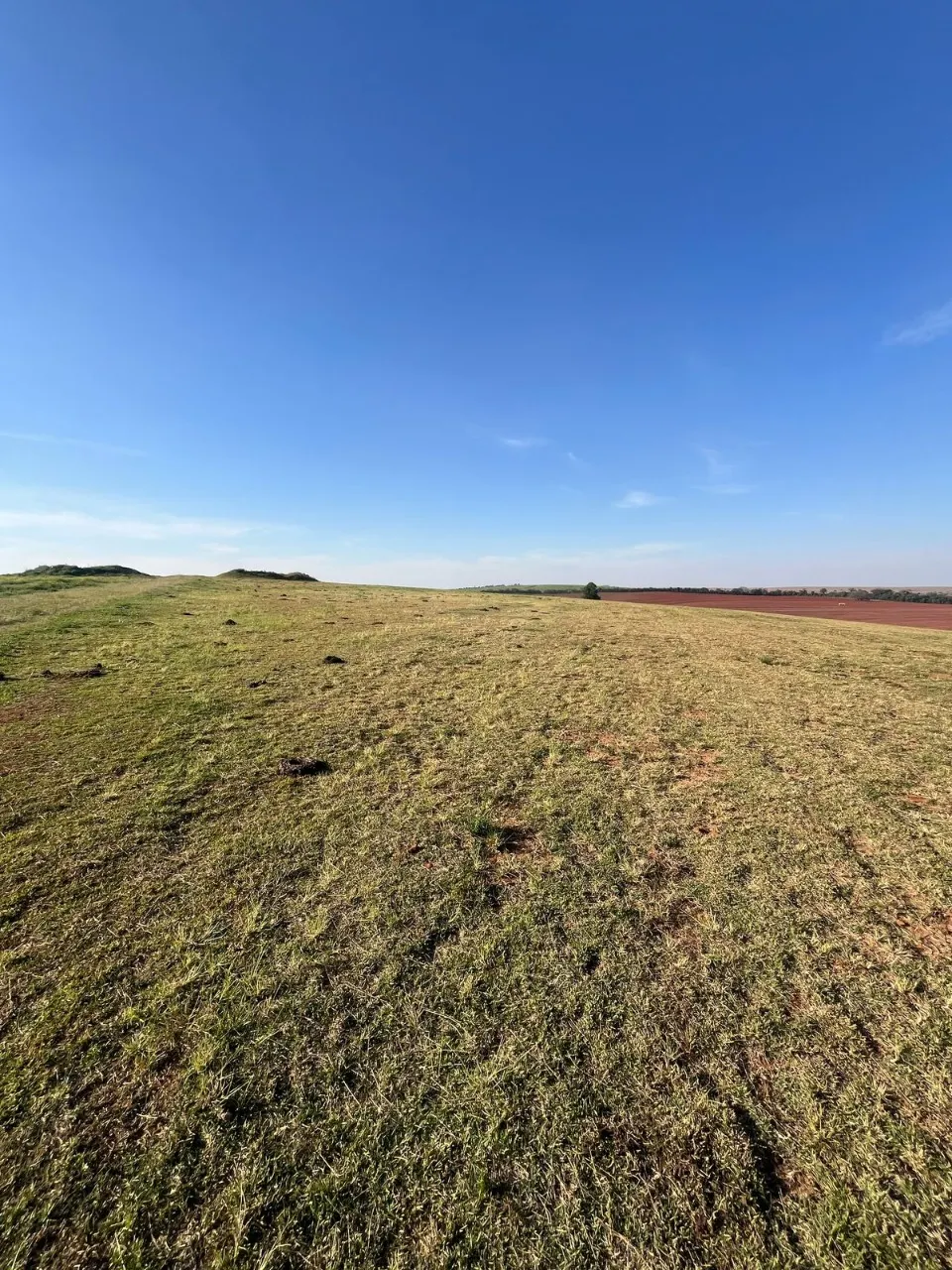 Fazenda à venda de 136 ha em Itapetininga, SP, Brasil