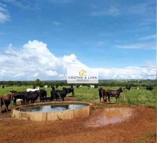 Fazenda à venda de 471 ha em Água Clara, MS, Brasil