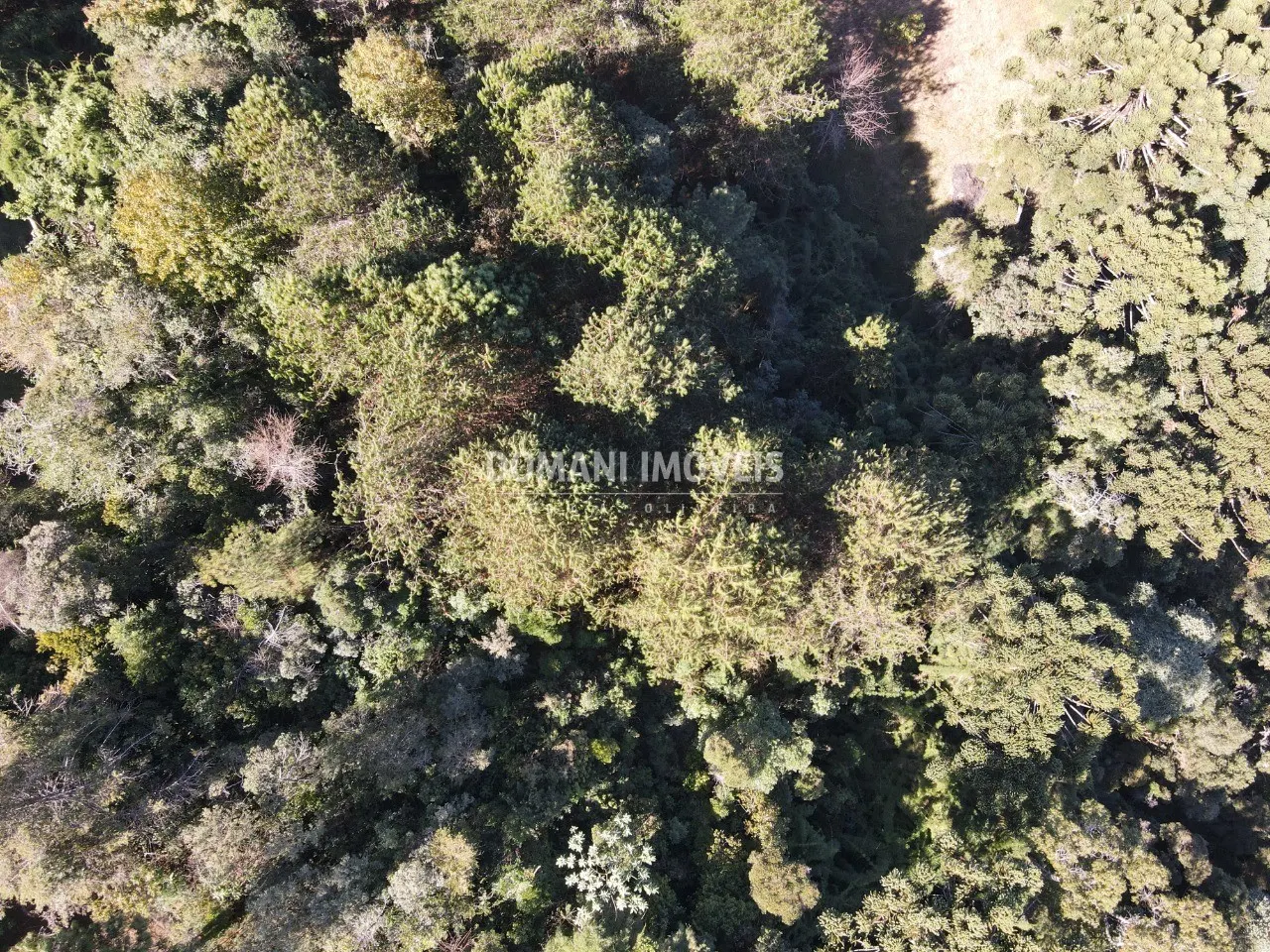 Terreno à venda de 4.300 m² em Campos do Jordão, SP, Brasil