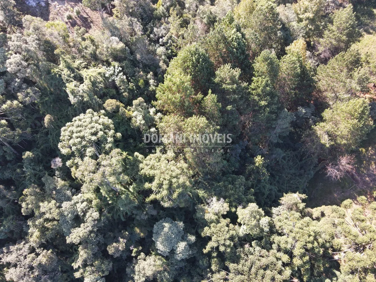 Terreno à venda de 4.300 m² em Campos do Jordão, SP, Brasil