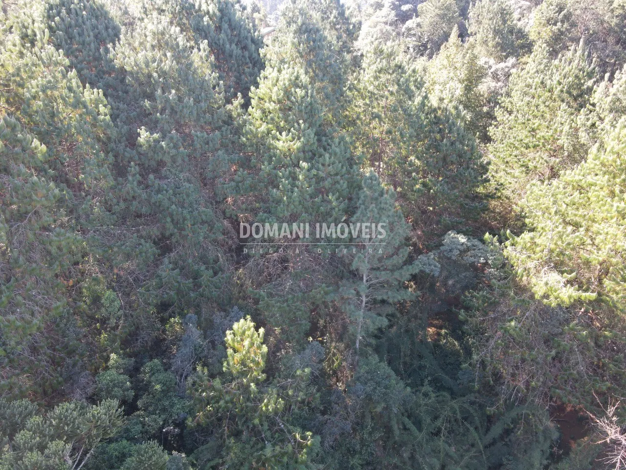 Terreno à venda de 4.300 m² em Campos do Jordão, SP, Brasil