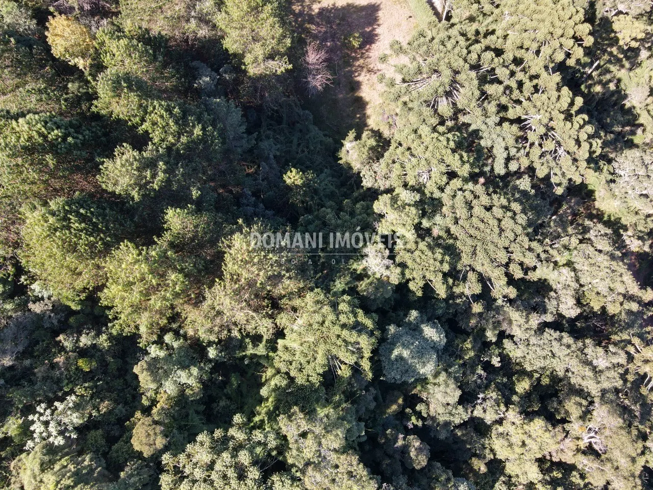 Terreno à venda de 4.300 m² em Campos do Jordão, SP, Brasil