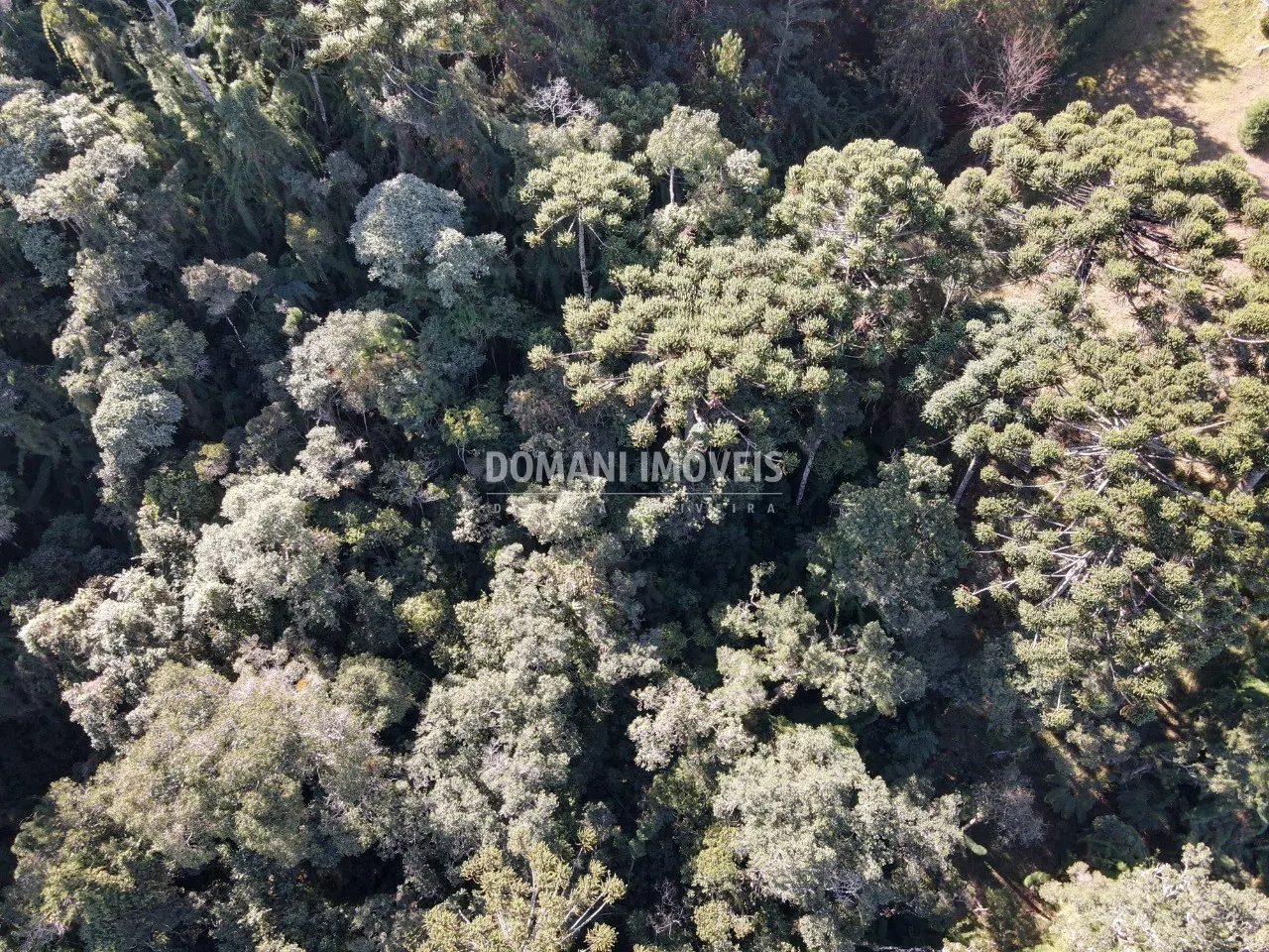 Terreno à venda de 4.300 m² em Campos do Jordão, SP, Brasil