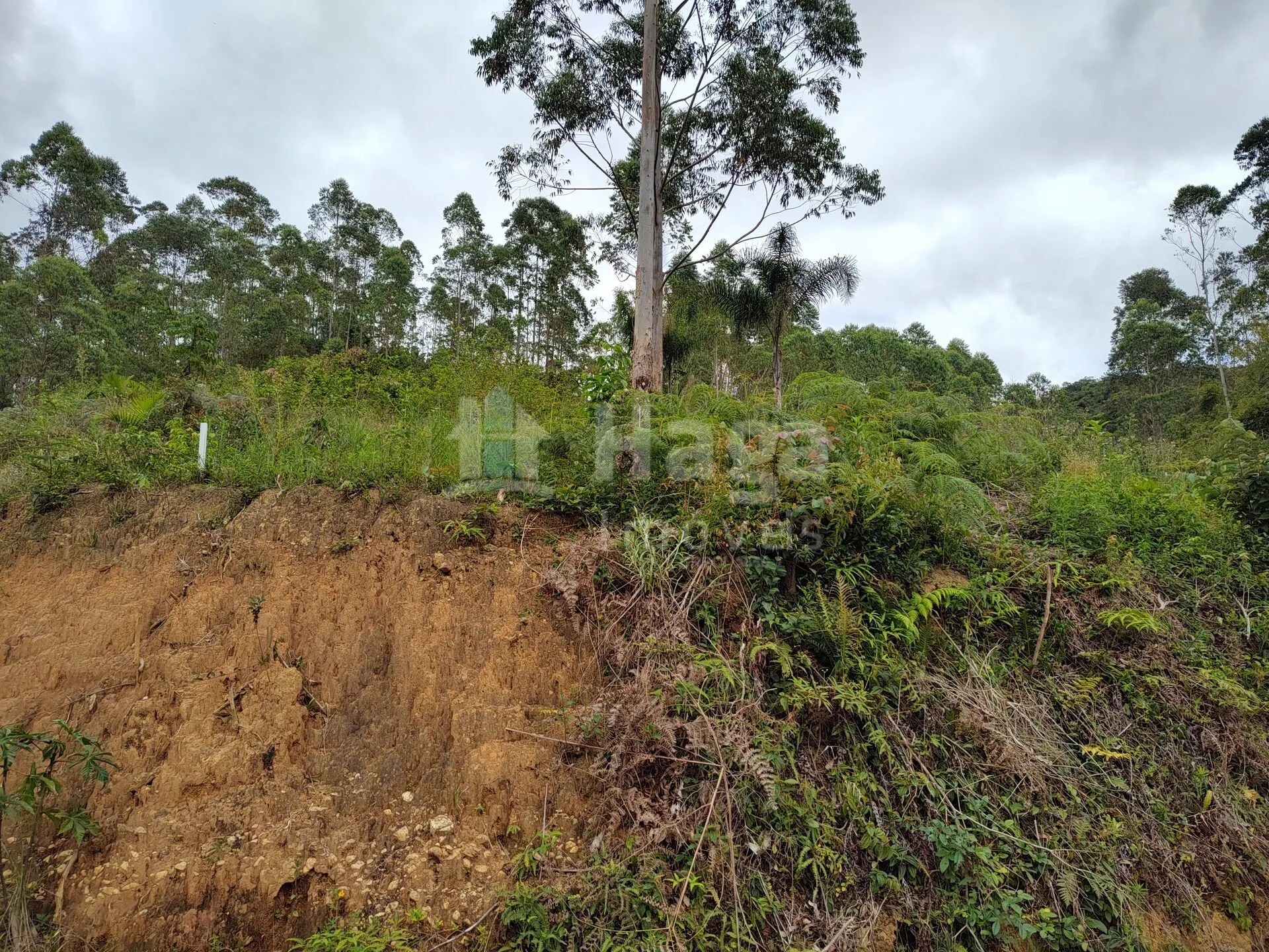 Fazenda à venda de 3 ha em Botuverá, SC, Brasil