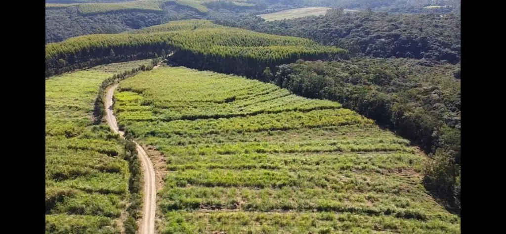 Sítio à venda de 46 ha em São Miguel Arcanjo, SP, Brasil