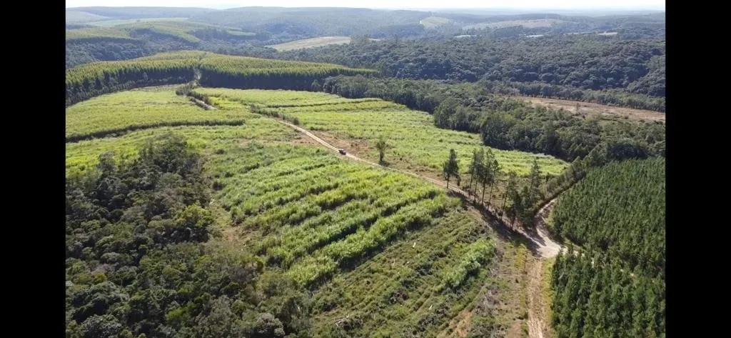 Sítio à venda de 46 ha em São Miguel Arcanjo, SP, Brasil