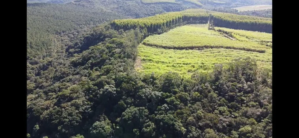 Sítio à venda de 46 ha em São Miguel Arcanjo, SP, Brasil
