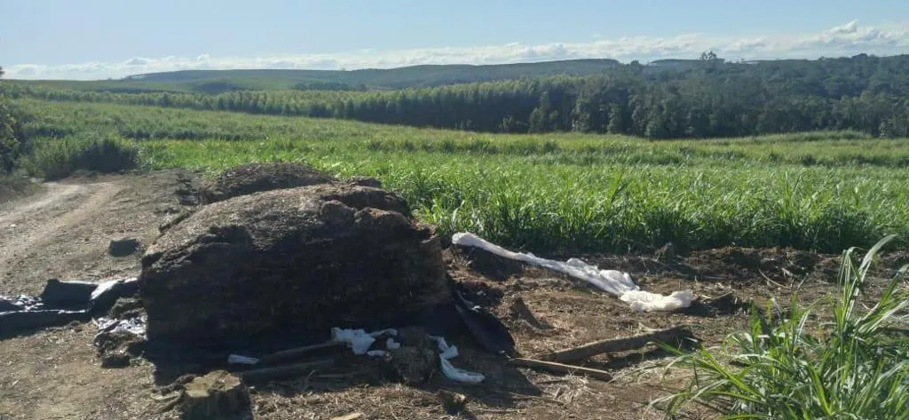 Sítio à venda de 46 ha em São Miguel Arcanjo, SP, Brasil