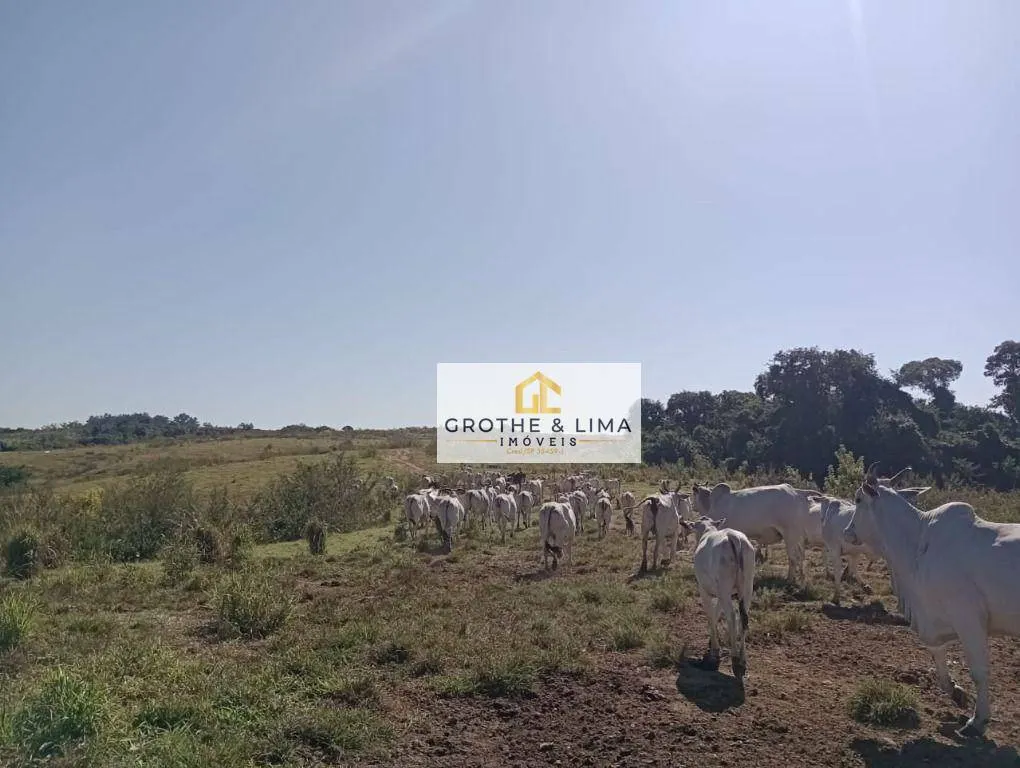 Fazenda à venda e para Arrendar de 68 ha em Tietê, SP, Brasil