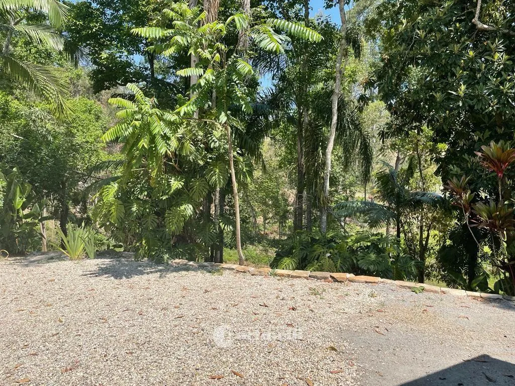 Sítio à venda de 10 ha em Santo Antônio do Pinhal, SP, Brasil