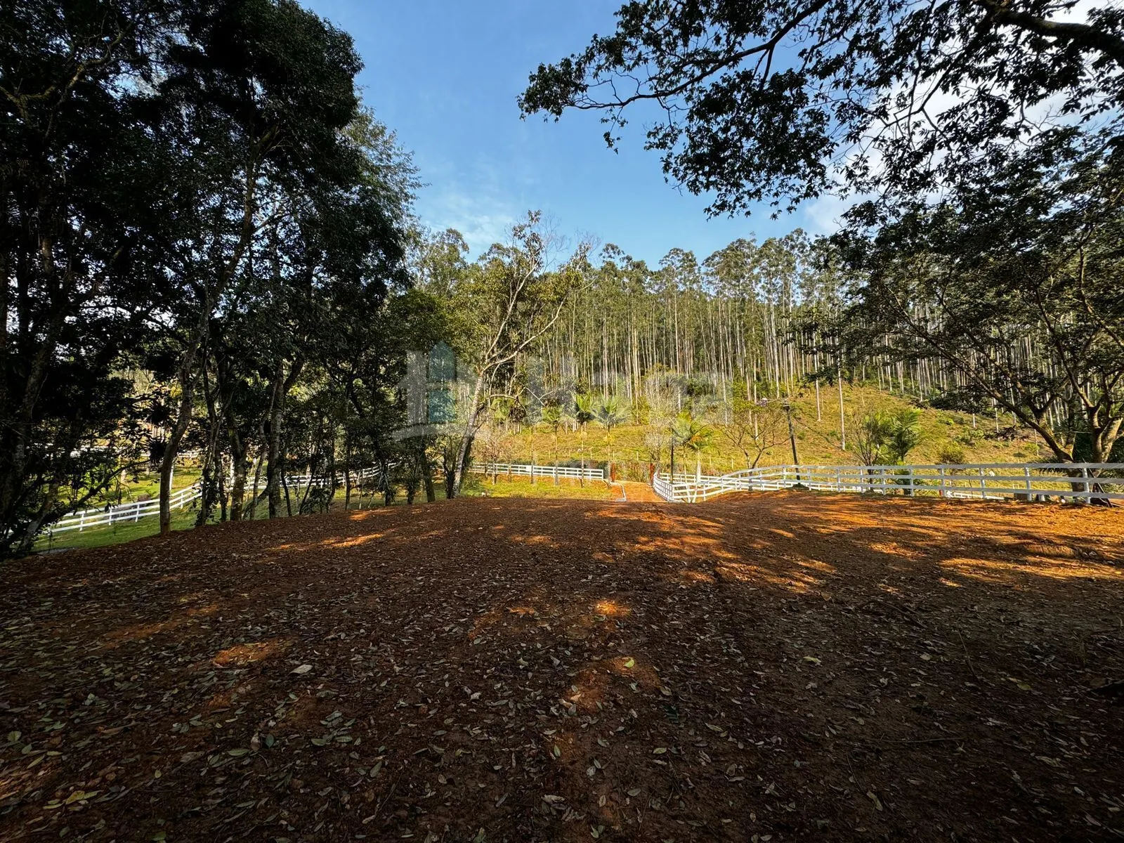Chácara à venda de 8.044 m² em Canelinha, SC, Brasil