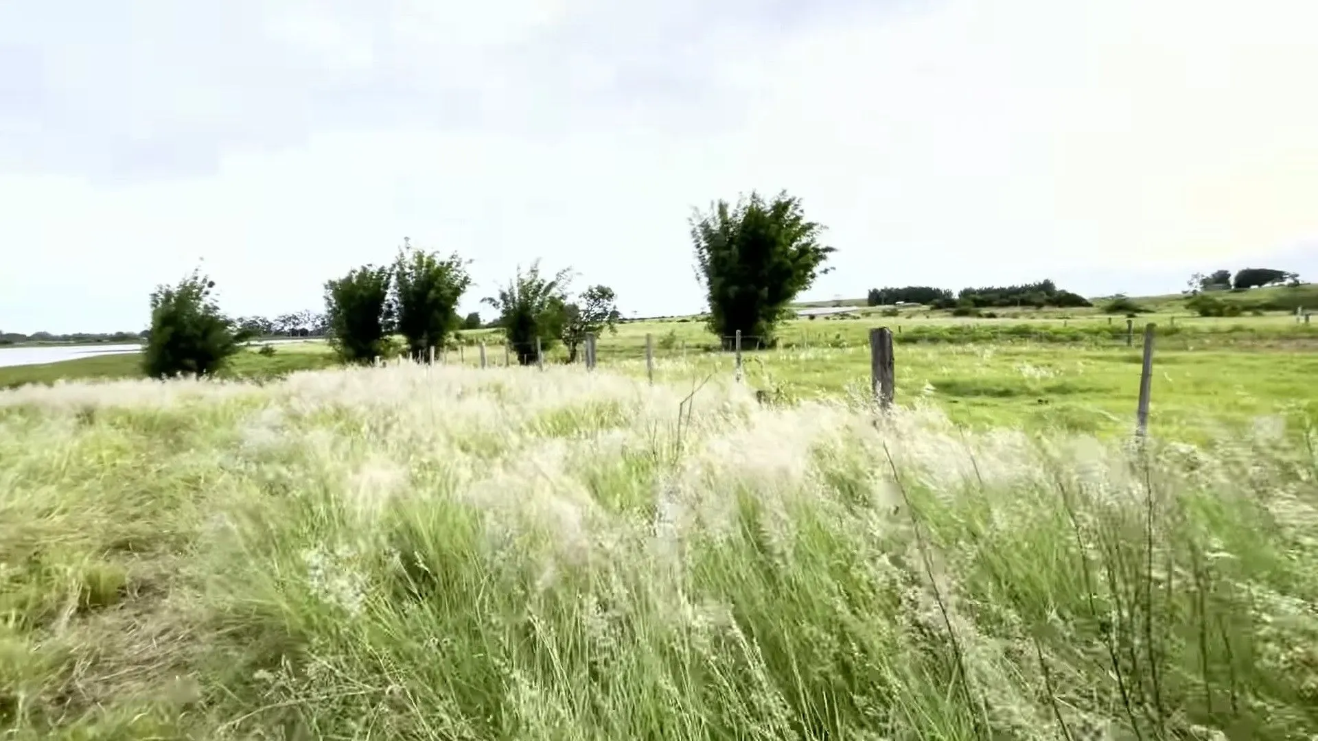 Chácara à venda de 2.200 m² em Santo Antônio da Patrulha, RS, Brasil