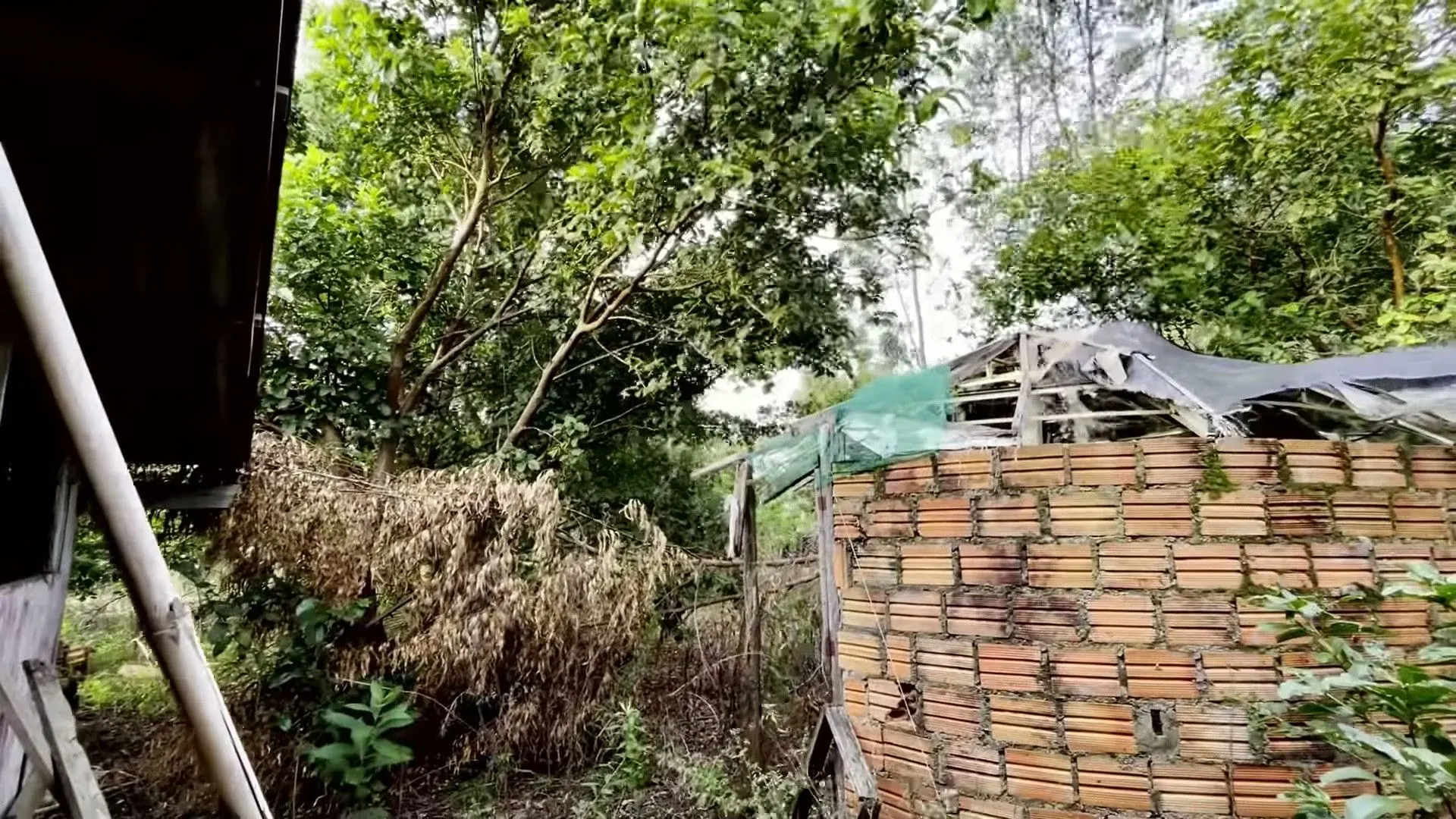 Chácara à venda de 2.200 m² em Santo Antônio da Patrulha, RS, Brasil