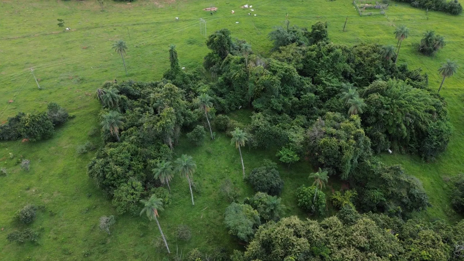 Sítio à venda de 12 ha em Nova Ponte, MG, Brasil