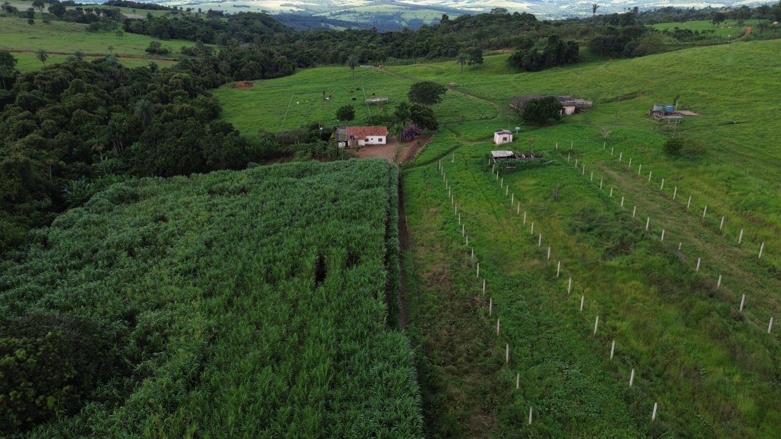 Sítio à venda de 12 ha em Nova Ponte, MG, Brasil