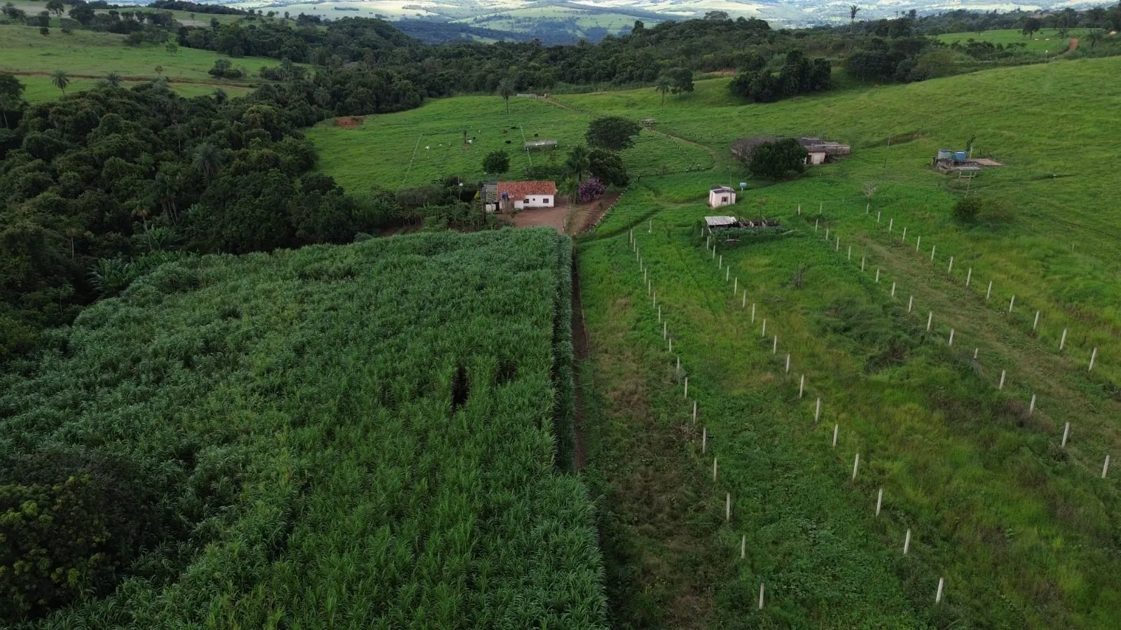 Sítio à venda de 12 ha em Nova Ponte, MG, Brasil