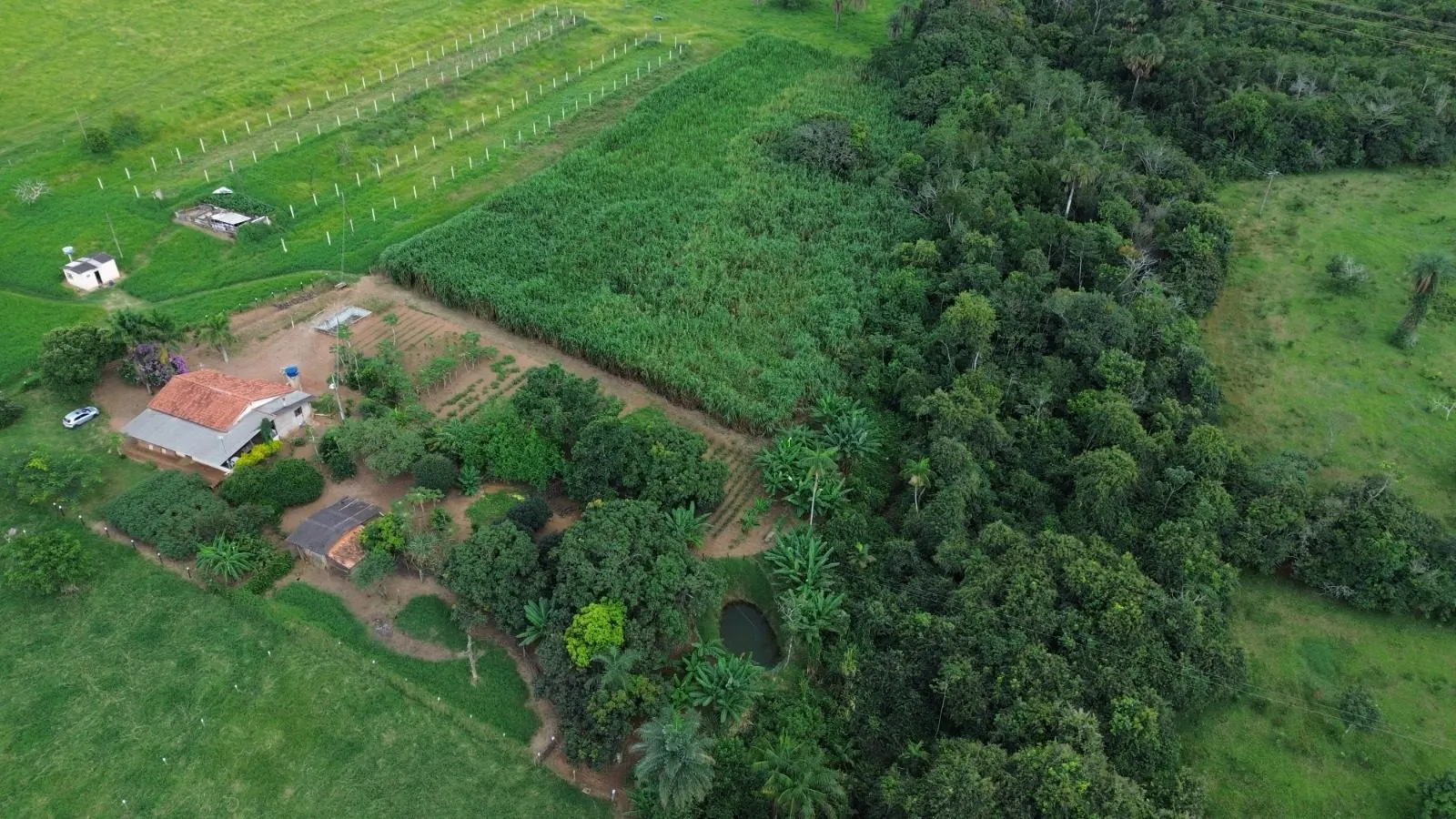 Sítio à venda de 12 ha em Nova Ponte, MG, Brasil