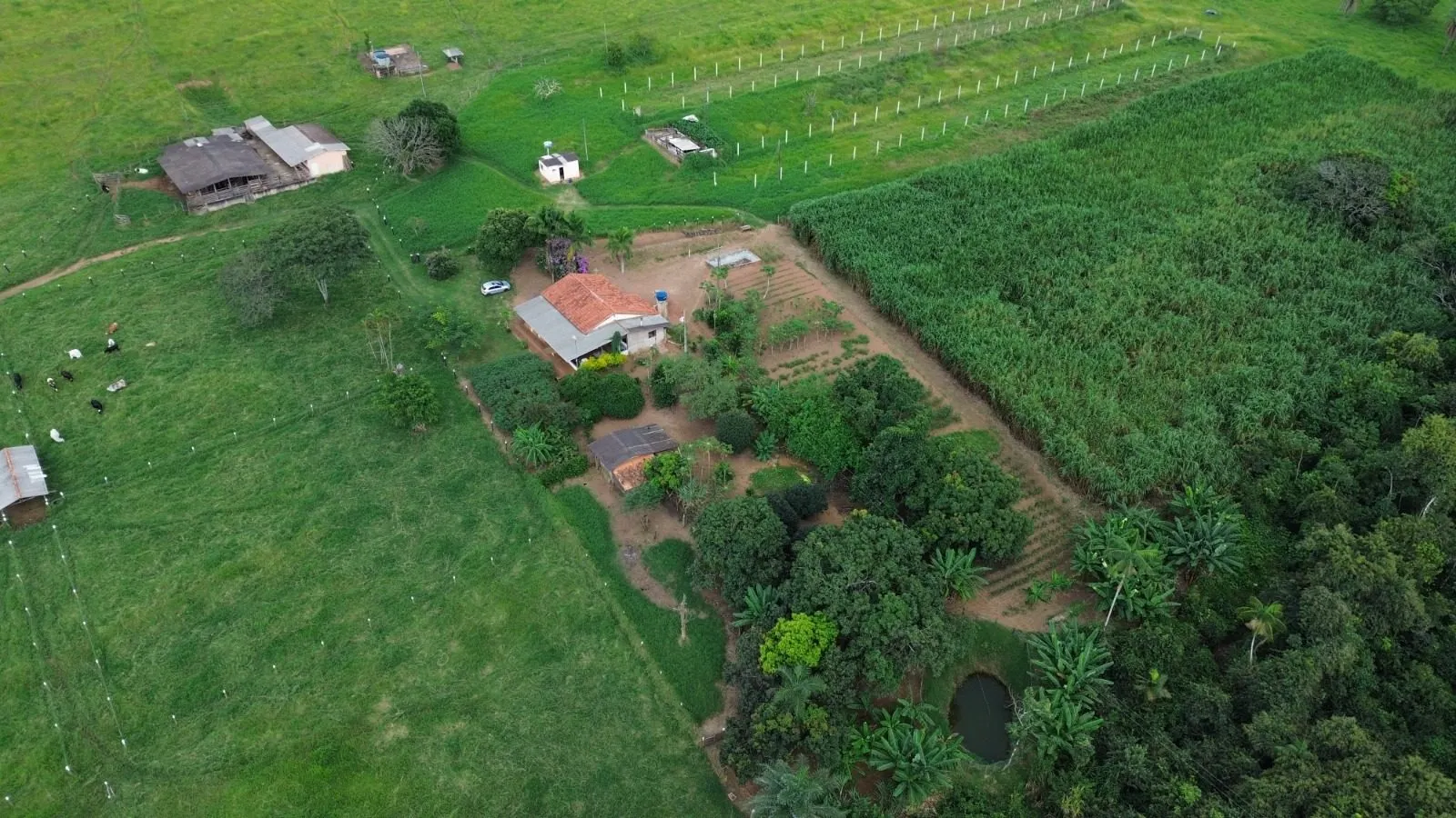Sítio à venda de 12 ha em Nova Ponte, MG, Brasil