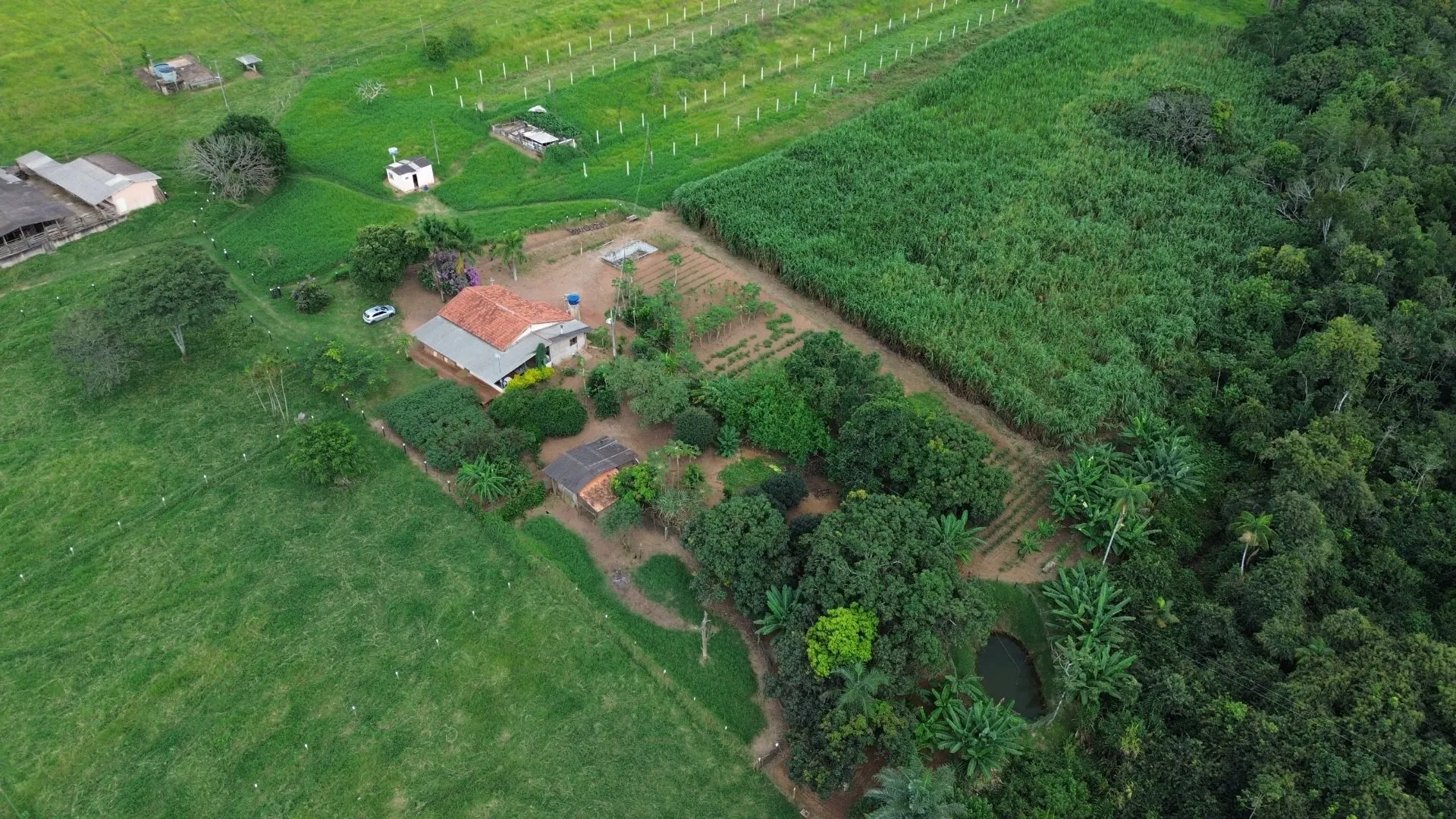 Sítio à venda de 12 ha em Nova Ponte, MG, Brasil