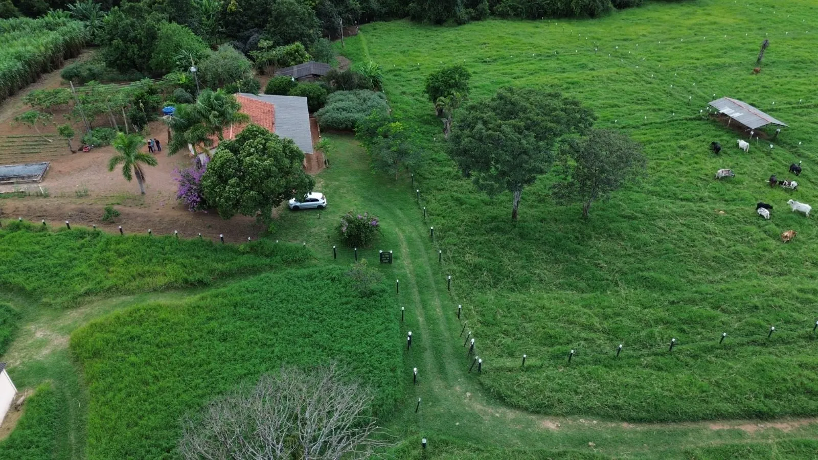 Sítio à venda de 12 ha em Nova Ponte, MG, Brasil