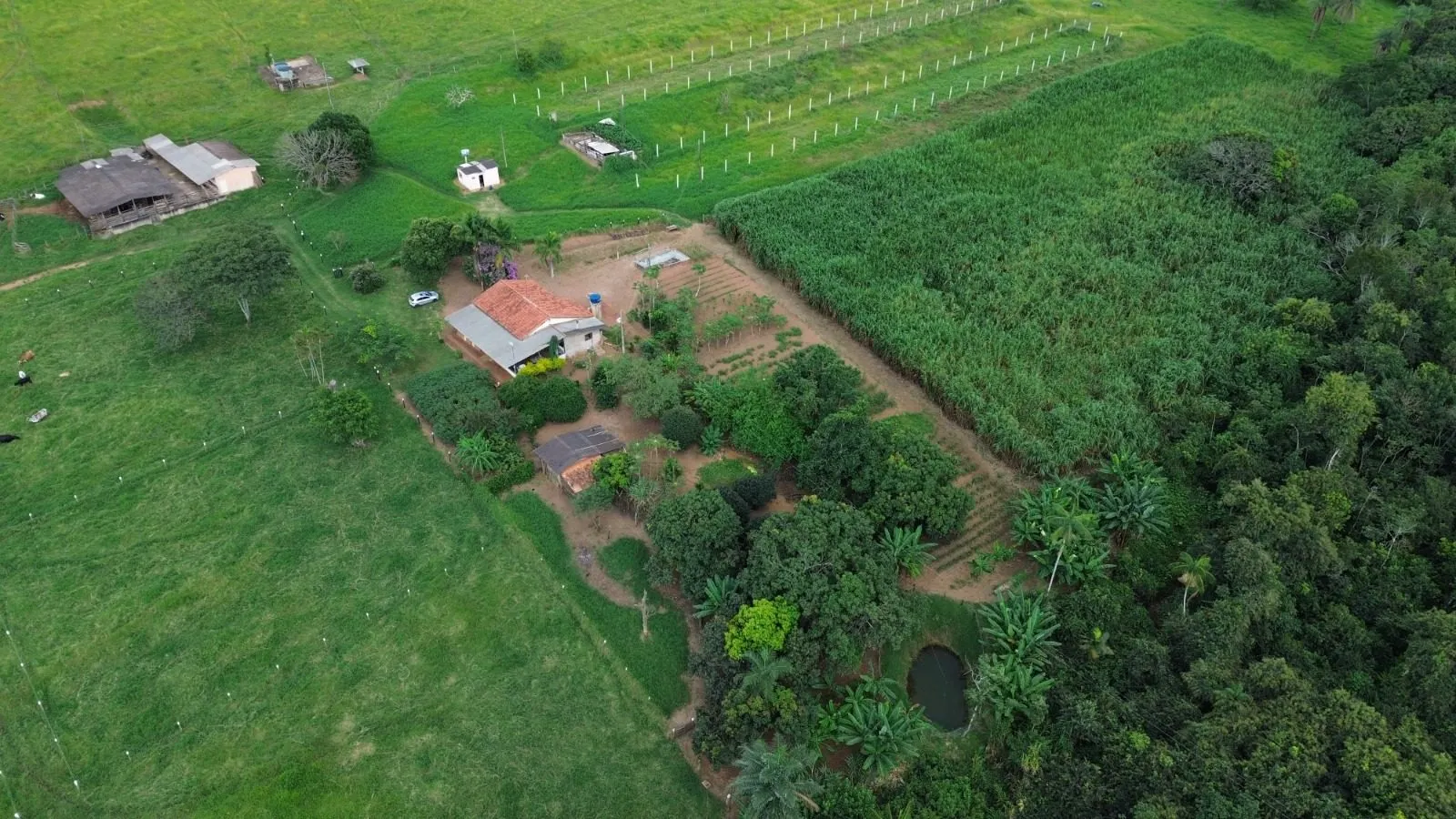 Sítio à venda de 12 ha em Nova Ponte, MG, Brasil