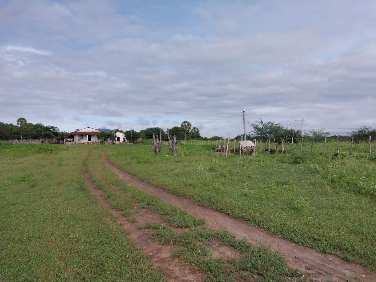 Fazenda à venda de 513 ha em Sobral, CE, Brasil