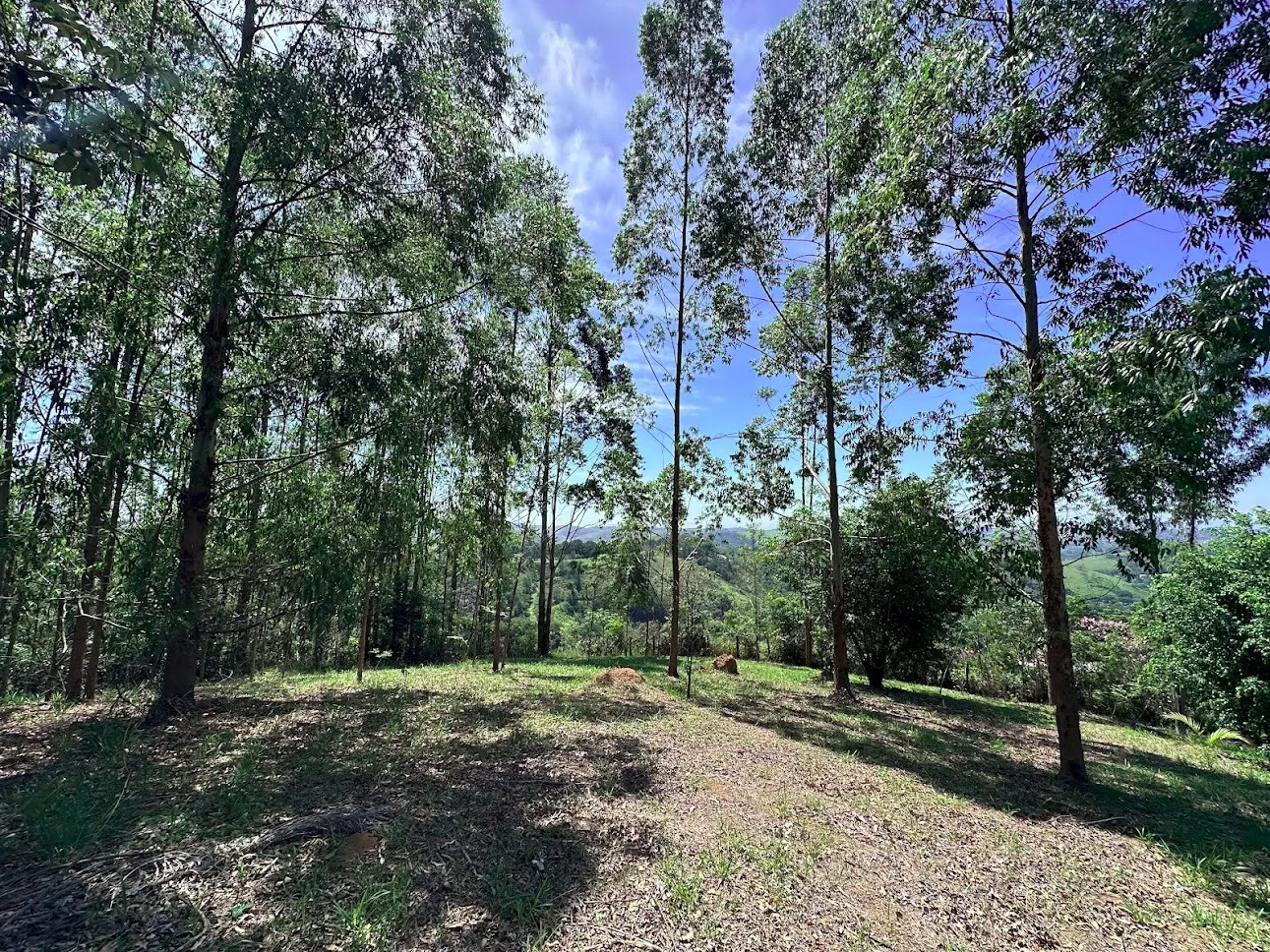 Terreno à venda de 3 ha em São José dos Campos, SP, Brasil