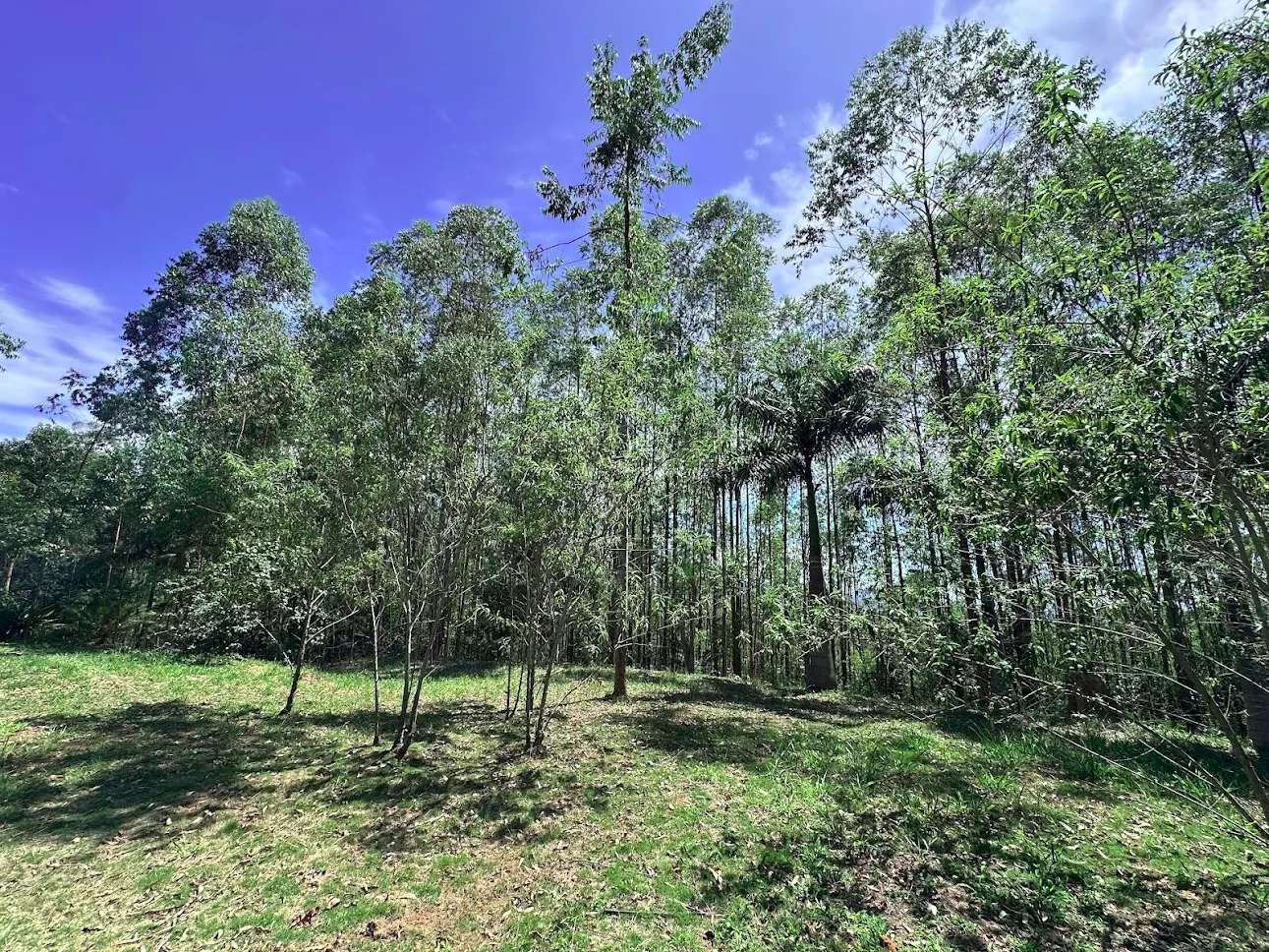 Terreno à venda de 3 ha em São José dos Campos, SP, Brasil