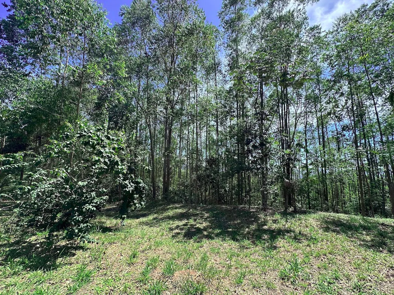 Terreno à venda de 3 ha em São José dos Campos, SP, Brasil